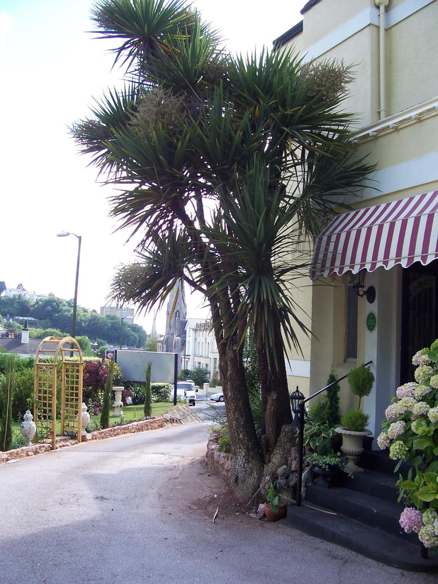 The Somerville Torquay Εξωτερικό φωτογραφία